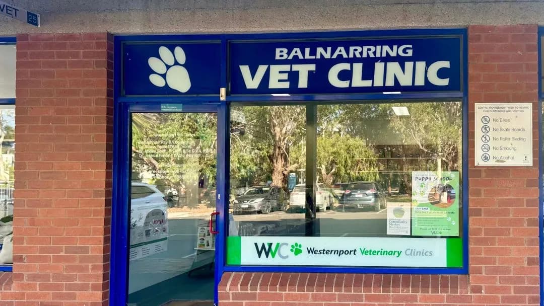 Westernport Vet Balnarring