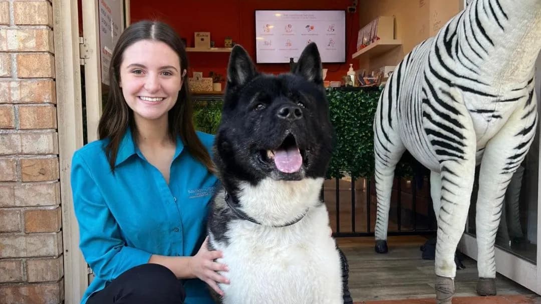 Business listing image