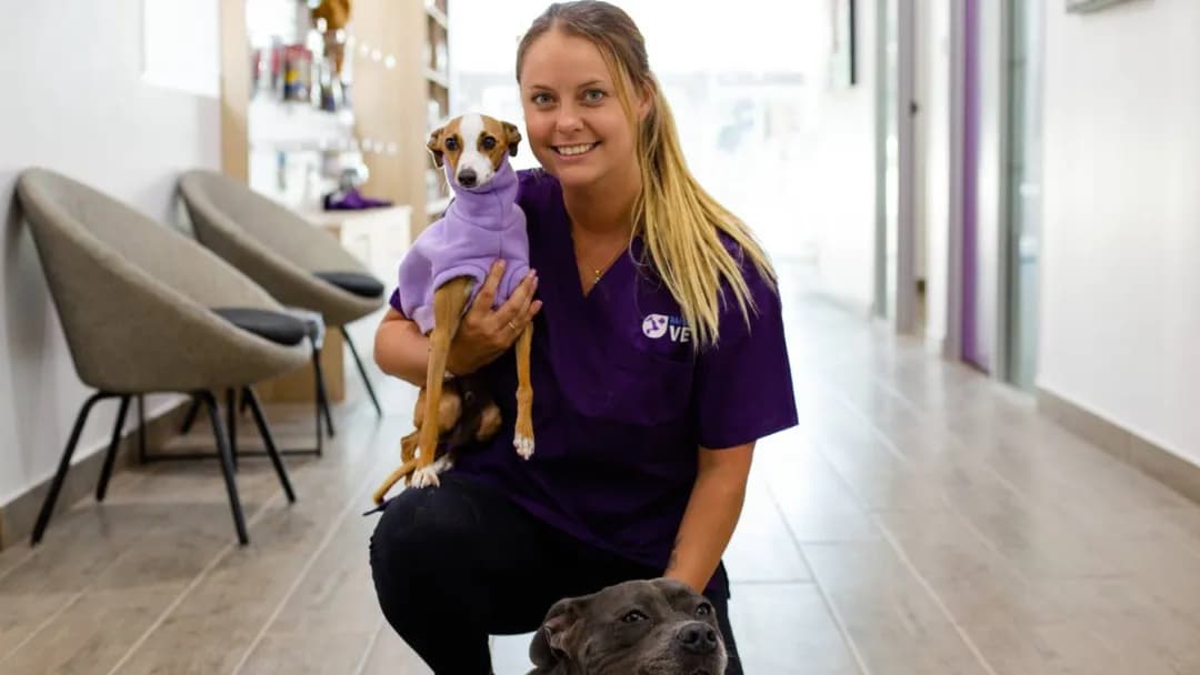 Business listing image