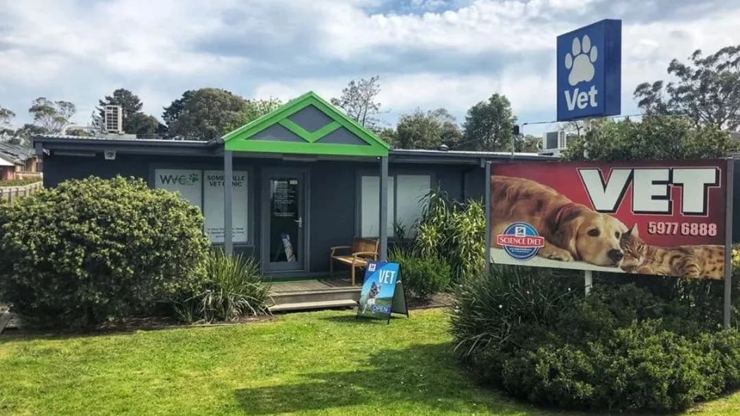 Westernport Vet Somerville