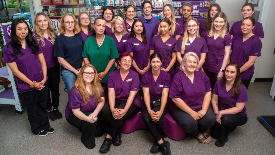 Business listing image