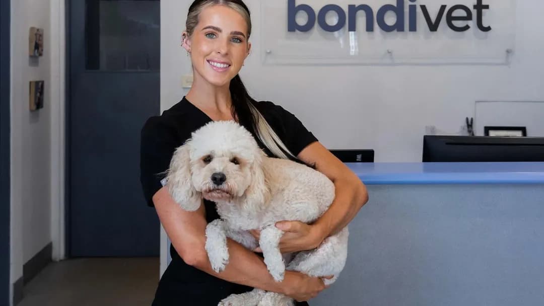 Business listing image