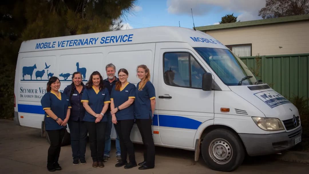 Business listing image