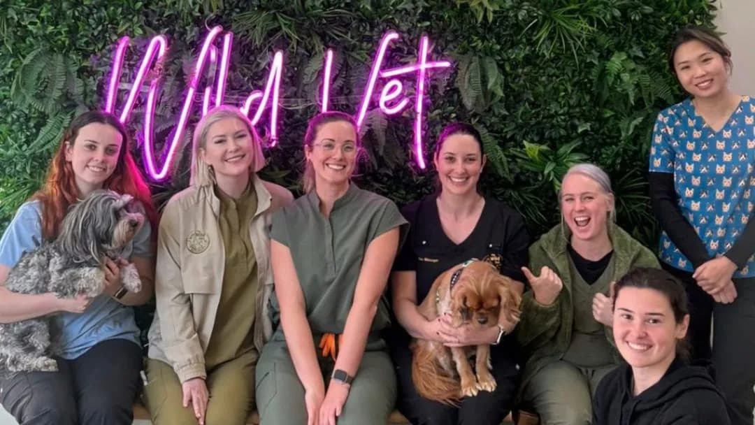 Business listing image