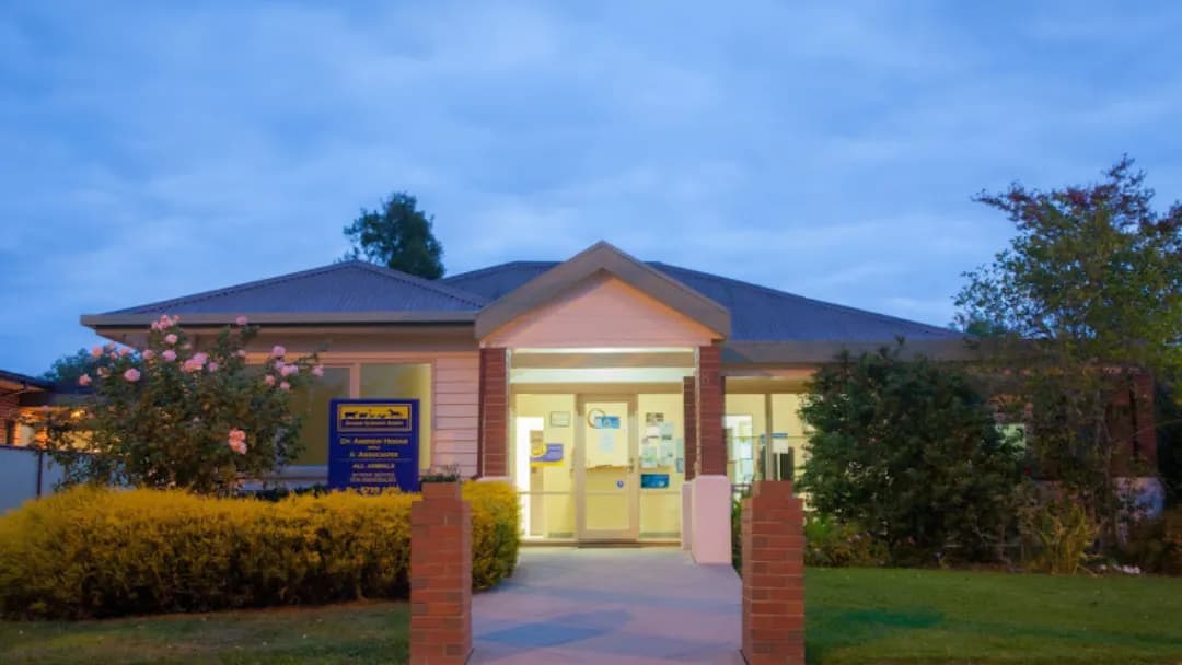 Business listing image