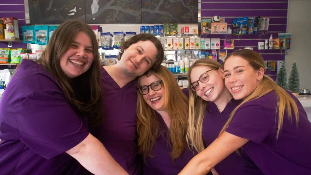 Business listing image